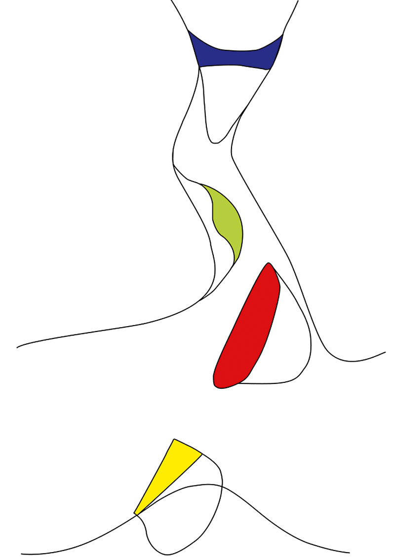 Le terrazze e le loro vocazioni.
