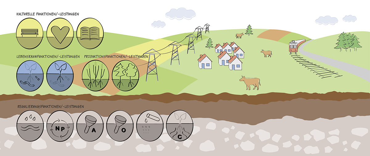 Boden ist mehr als eine zweidimensionale Landfläche, sondern stellt existenzielle Funktionen und Ökosystemleistungen zur Verfügung, beispielsweise für die land- und forstwirtschaftliche Produktion, den Schutz vor Naturgefahren wie Hochwasser oder Erdrutsche oder für die Erholung.