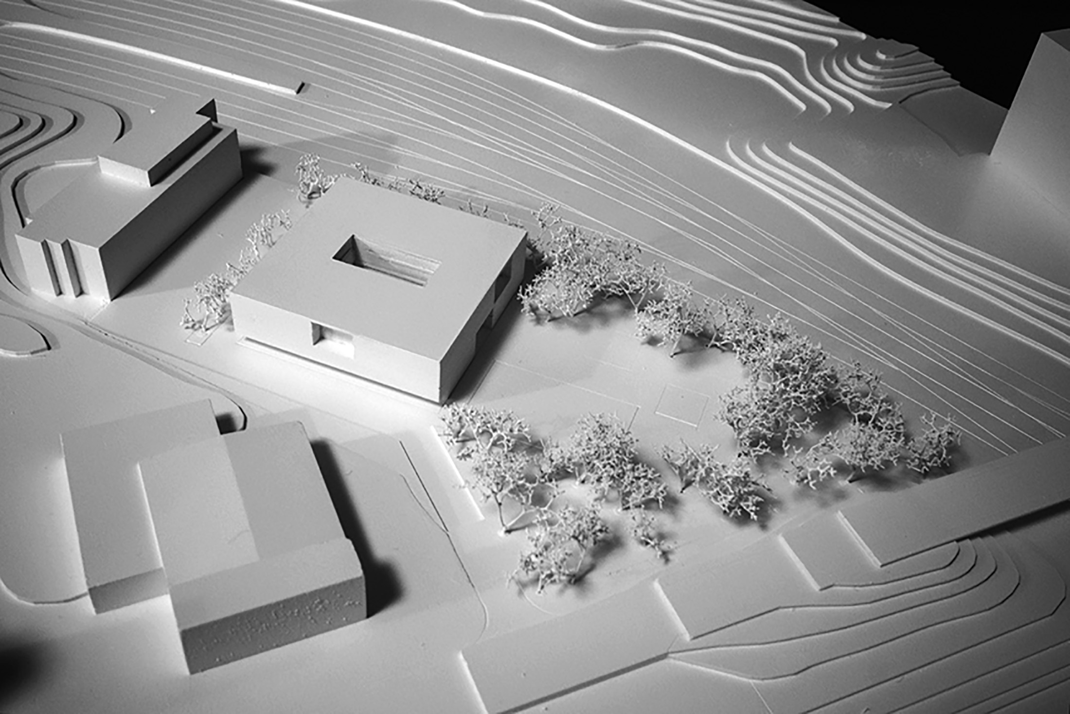 2° rango, 2° premio: «Camaleonte» Architettura: CdL Otto Krausbeck + Giorgio Santagostino, Salorino Specialisti: CSD ingegneri SA, Elettroingegneria P. Tomatis