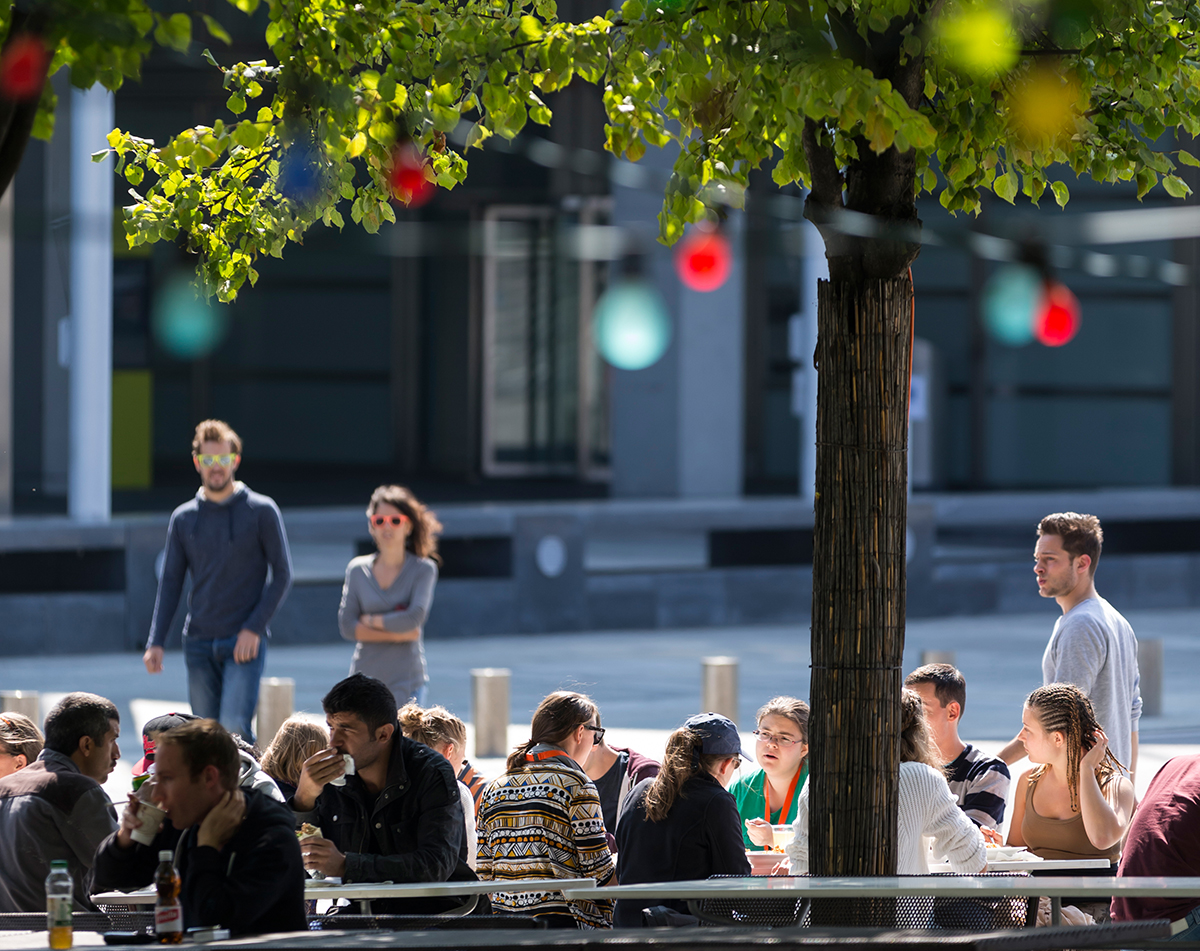 Trügerische Idylle am Campus Hönggerberg.