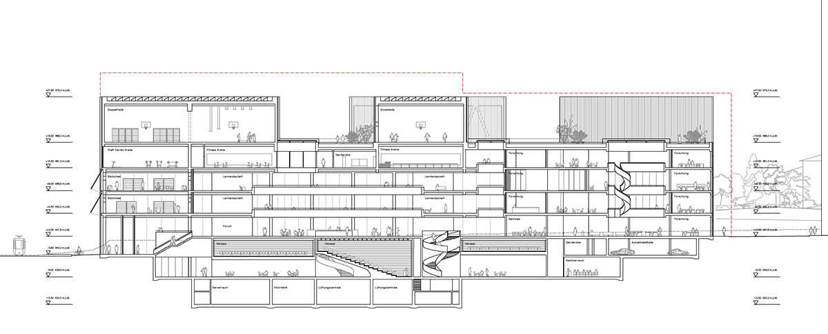 2. Rang / 2. Preis «Paian», Schnitt