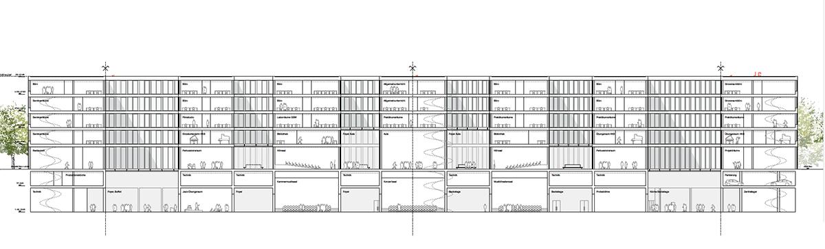 4. Rang, 3. Preis: «Karo», Schnitt.