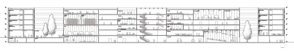 7. Rang, 6. Preis: «Mitte Mitte», Längsschnitt.