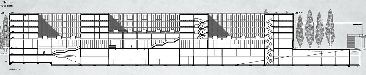 10. Rang, 9. Preis: «Triole», Längsschnitt.
