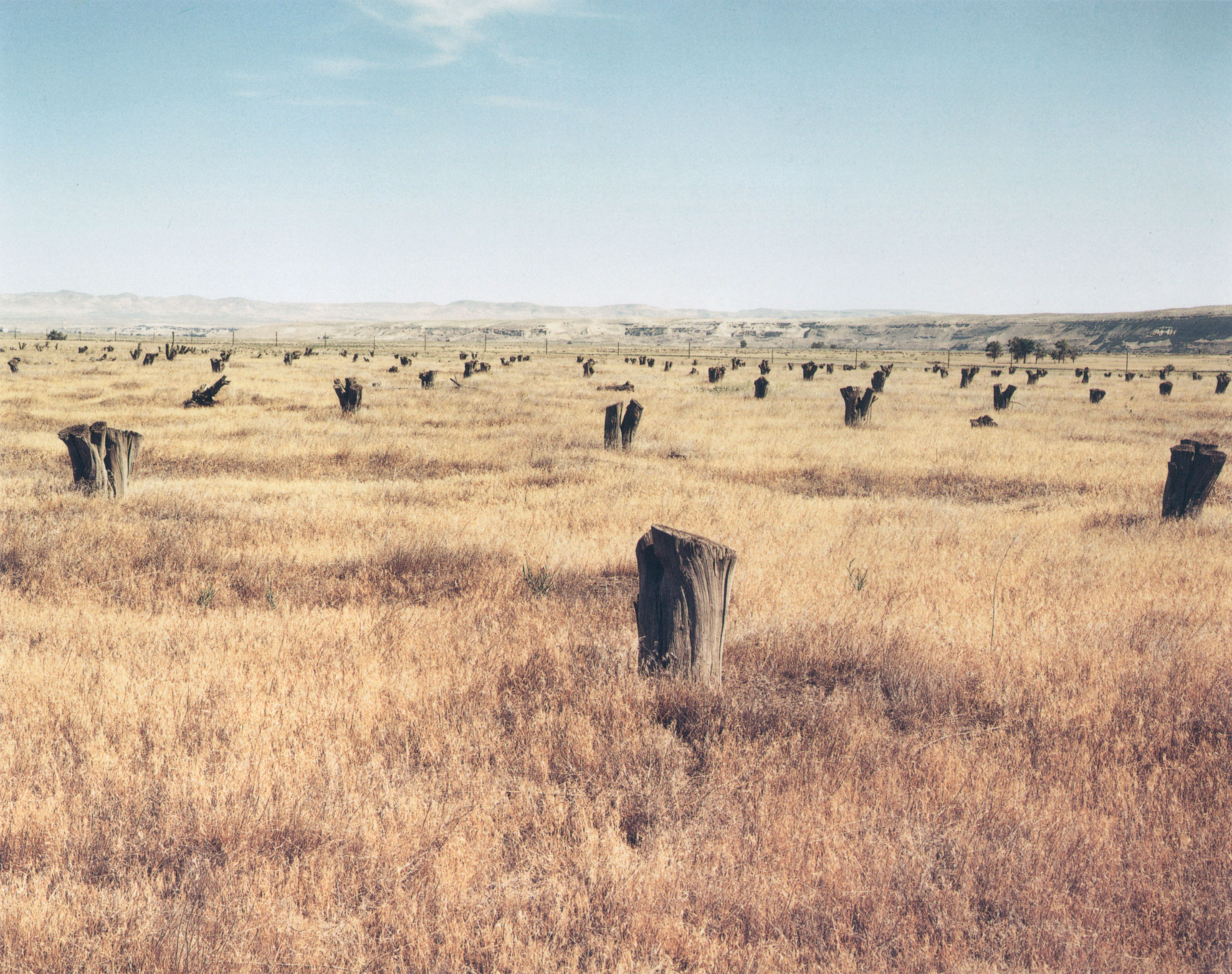 Peter Goin, Orchard Site
