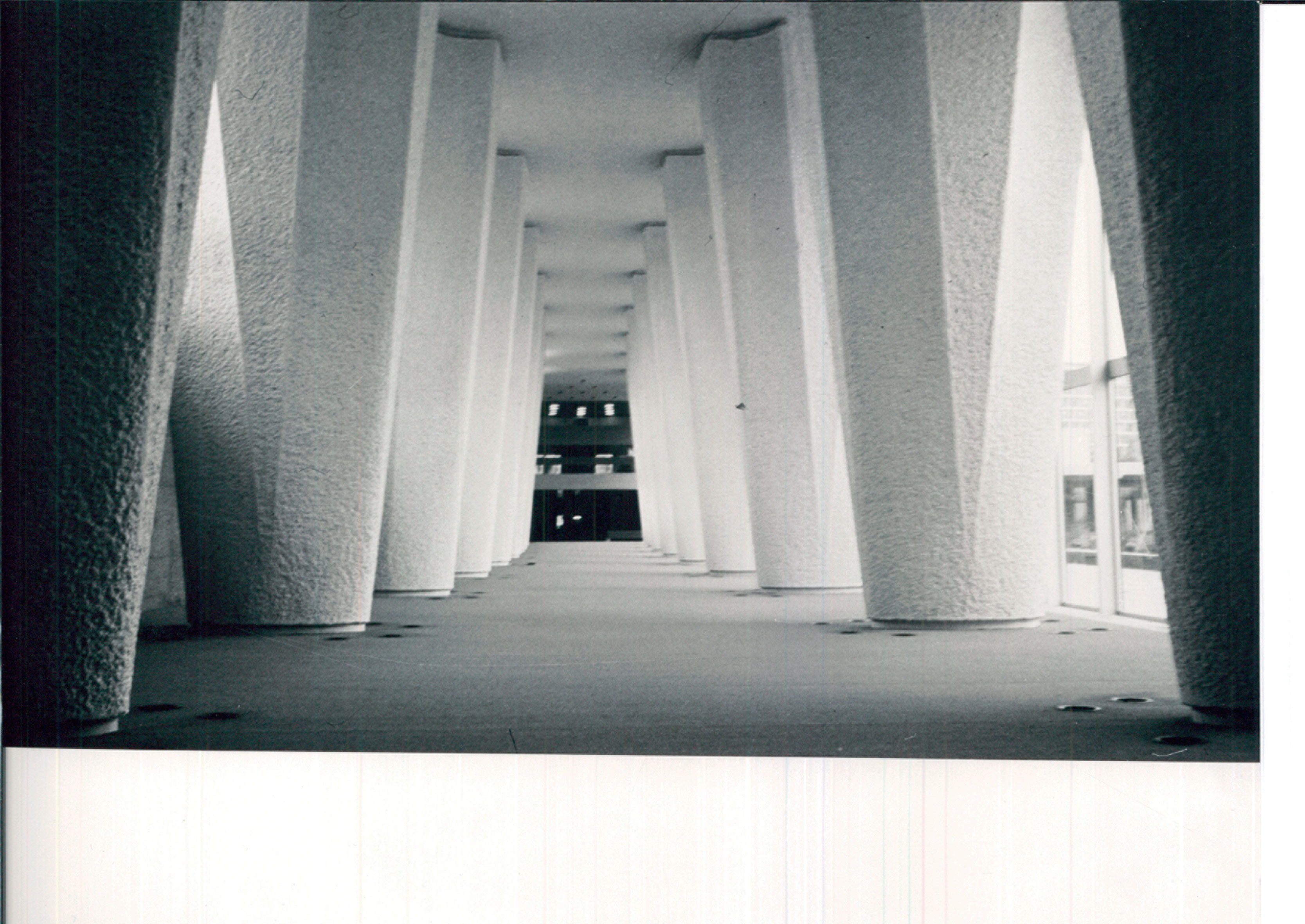 Les vingt colonnes de la salle des pas perdus