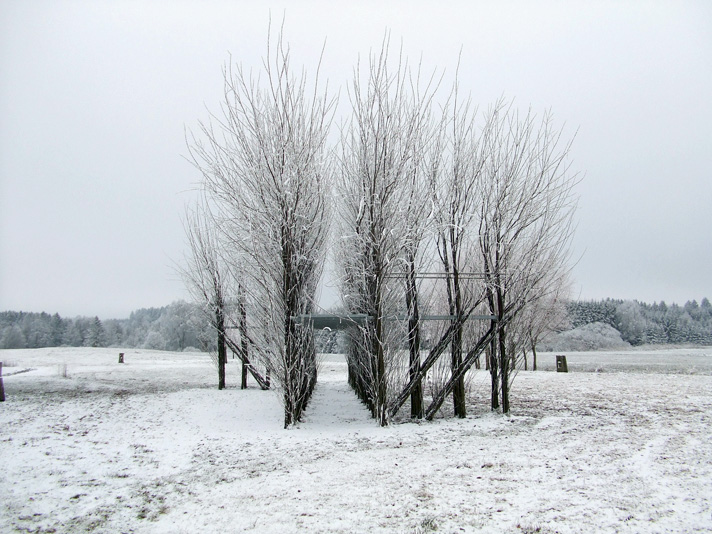 Der Steg wurde als Projekt im Rahmen von «Neue Kunst am Ried» 2005 als erstes Bauwerk von den Stuttgarter Baubotanikern nahe dem Bodensee realisiert. Lauffläche und Handlauf sind aus Stahl, alle lasttragenden und aussteifenden Elemente aus Weidensteckhölzern