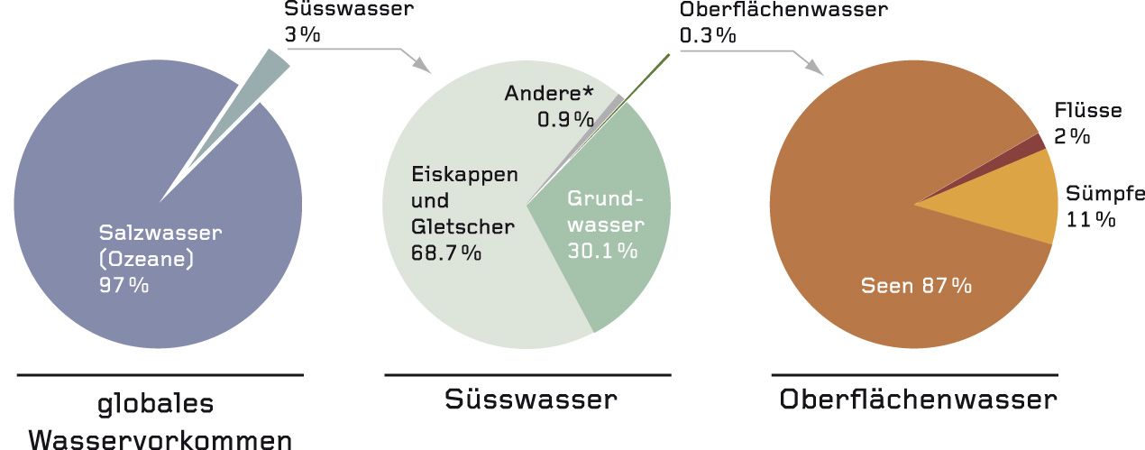 Wasserverteilung auf der Erde (Stand 2003)