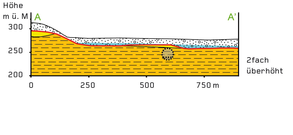 Geologisches Querprofil (AA , Lage vgl. Längsprofil der geplanten Tunnel- trasse im Basler Süden