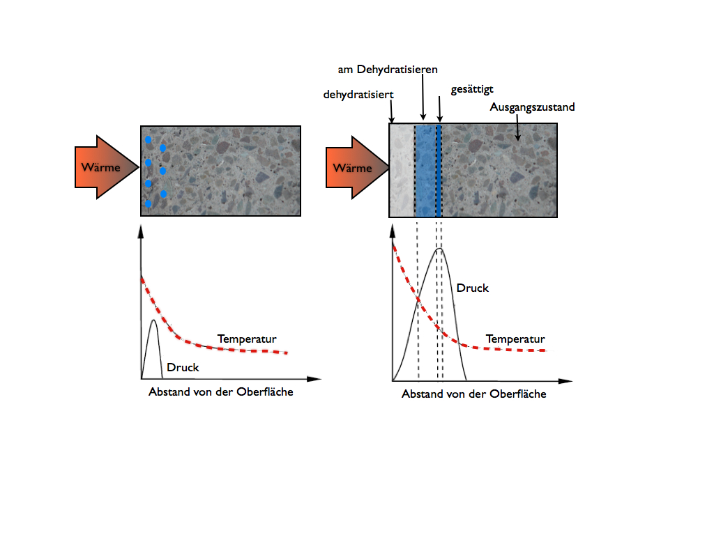 Einfluss des Wasserdampfes (Modell) : Spalling and pore pressure in HPC at high temperatures. Cement Concrete Res 30:1 13)
