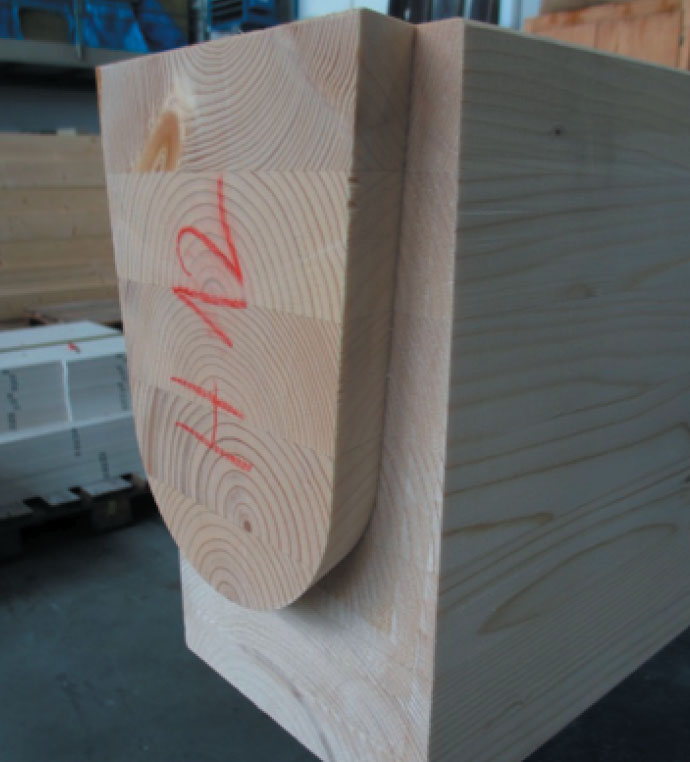 Zapfen der Schwalbenschwanzverbindung.