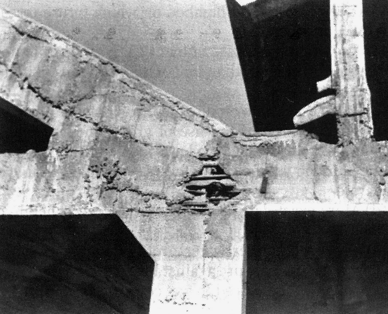 Die Naturbambusbewehrung des Gewölbes einer 1950 erstellten Halle wurde freigelegt; die Schatten zeigen, dass keine Adhäsion zwischen Beton und Bewehrung bestand. (Foto: Oscar Hidalgo Lopez: Bamboo. The Gift of The Gods. Bogotà 2003)