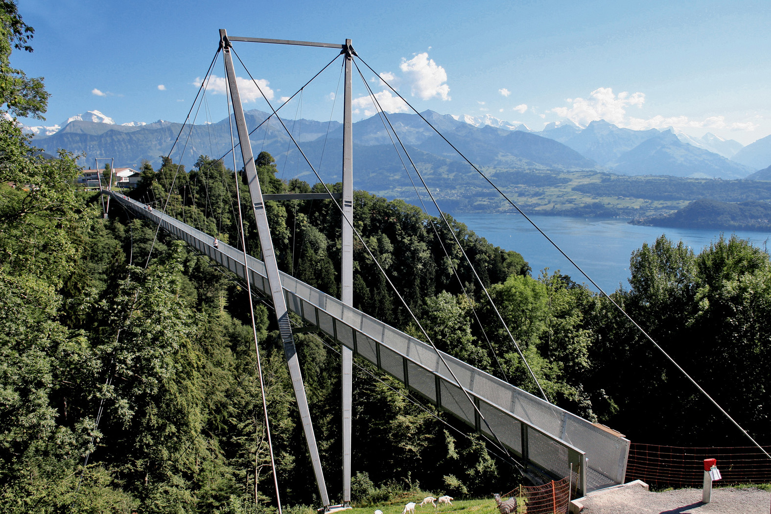 Die Hängebrücke Sigriswil überspannt die Guntenbachschlucht am nördlichen Thunerseeufer in 180m Höhe. Sie schwebt regelrecht als dünnes Band über dem Talboden. (Foto: Martin Dietrich)