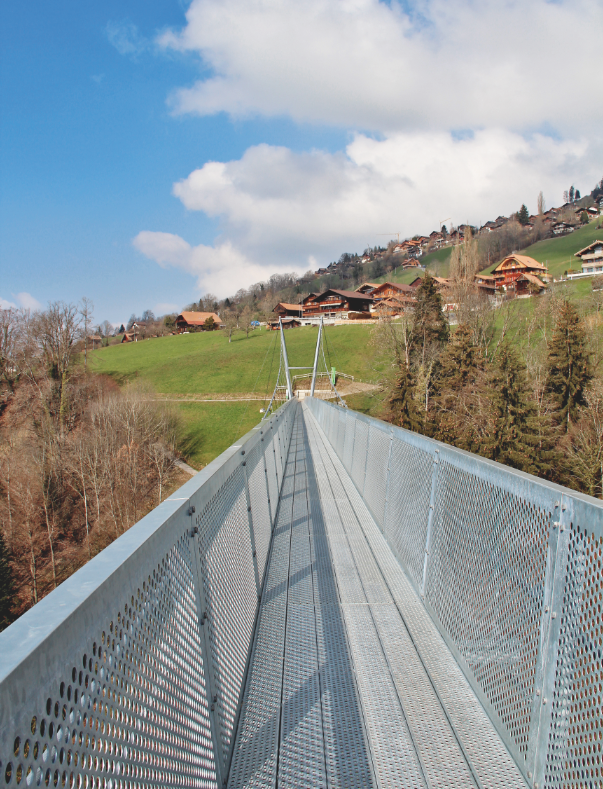 Die Hängebrücke besteht aus einem Trogquerschnitt. Lochbleche bilden die Seitenwände und standardmässige Profilroste den Gehweg. (Foto: Clementine van Rooden)