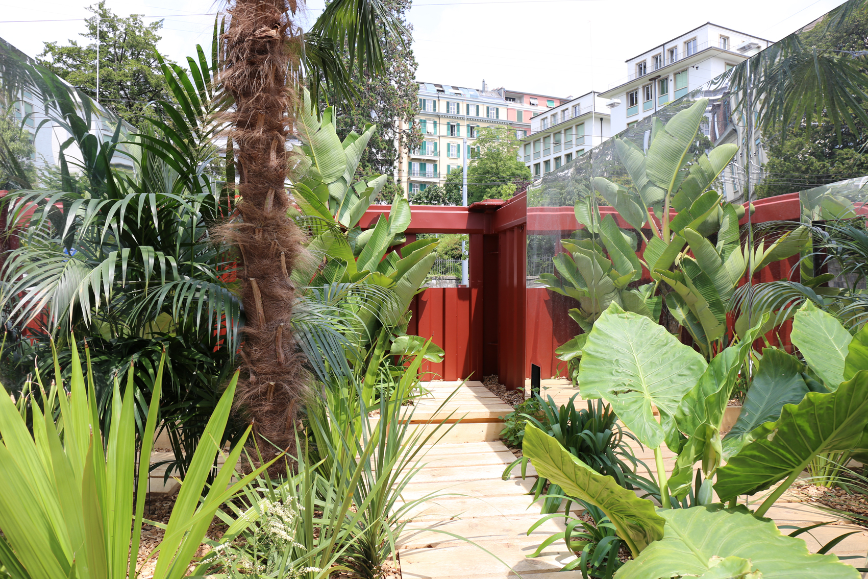 Ein Container voll Subtropen, gelandet an der Avenue de la Gare in Lausanne: Botanic box. (Foto: Ruedi Weidmann)