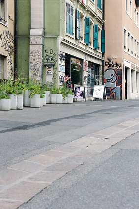 Blumen gegen Graffiti: Weed pots. (Foto: Ruedi Weidmann)