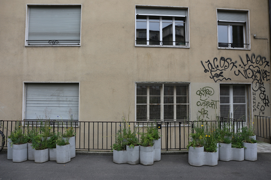 Weed pots. (Foto: Ruedi Weidmann)