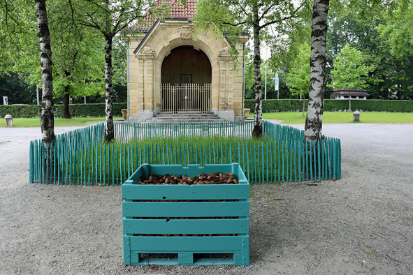 Aussichtslose Wurfsaat: Pijnappel kennis. (Foto: Ruedi Weidmann)