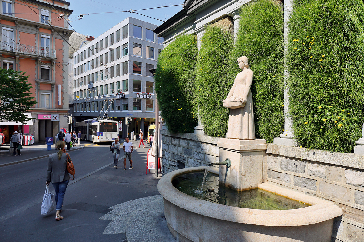 Ausbruch von Fruchtbarkeit in der Innenstadt: Outbreak. (Foto: Ruedi Weidmann)