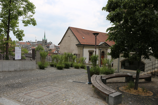 Saxis Colonia. (Foto: Ruedi Weidmann)