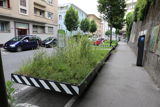 Place de parcs. (Foto: Ruedi Weidmann)