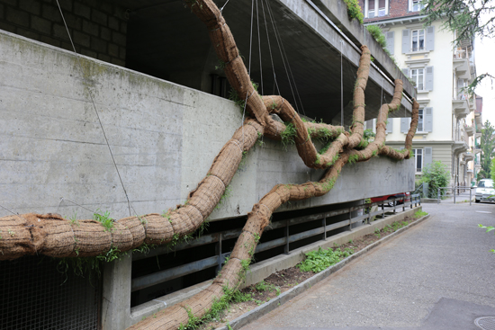 Rolling Garden. (Foto: Ruedi Weidmann)