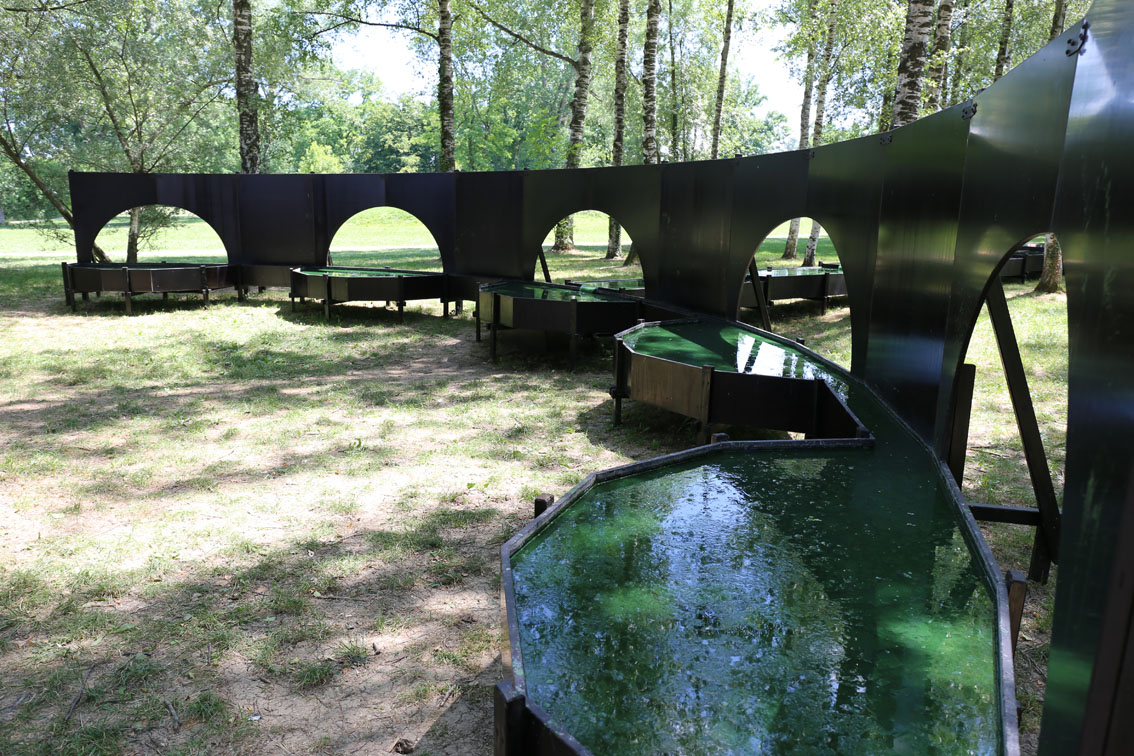 La fontaine de spriuline. (Foto: Ruedi Weidmann)