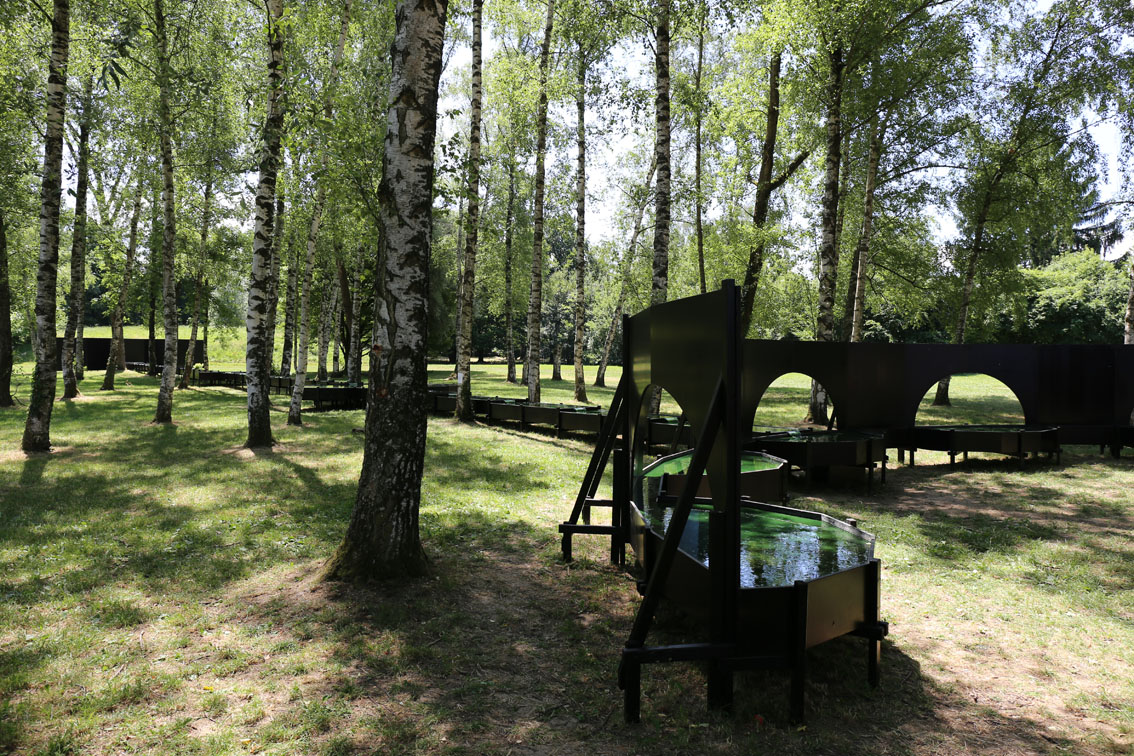 La fontaine de spriuline. (Foto: Ruedi Weidmann)