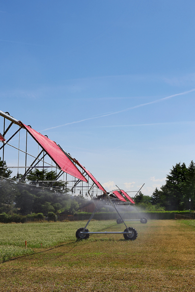 Schatten, Licht und Wasser für die Ackerblumen und für eine schönere Landwirtschaft: Sous le grand portique. (Foto: Ruedi Weidmann)