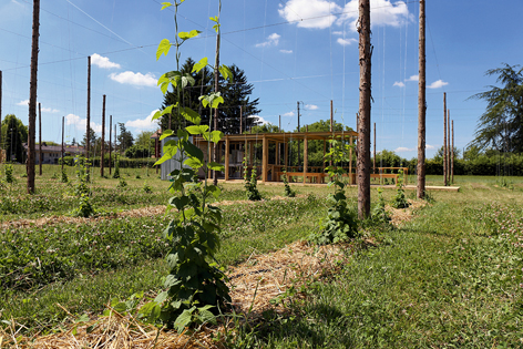 Trinken und lernen auf dem Champ de bière. (Foto: Ruedi Weidmann)