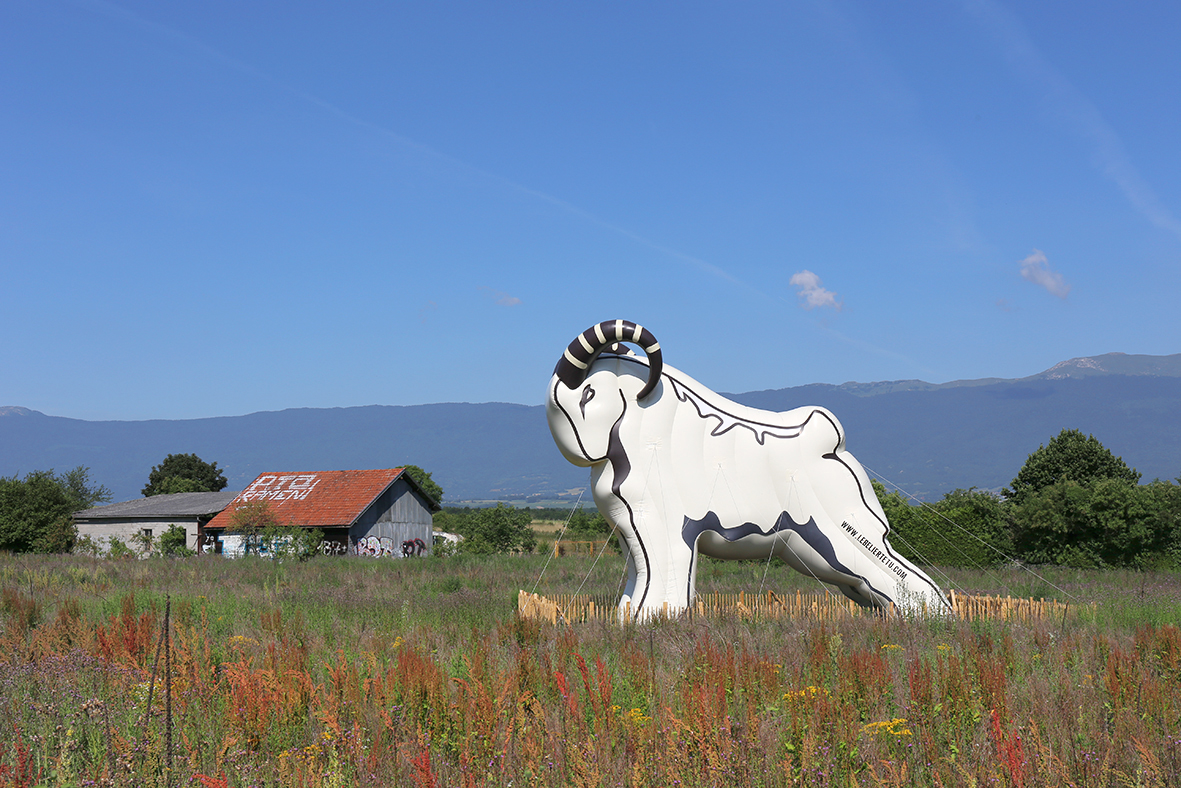 Résistance. (Foto: Ruedi Weidmann)