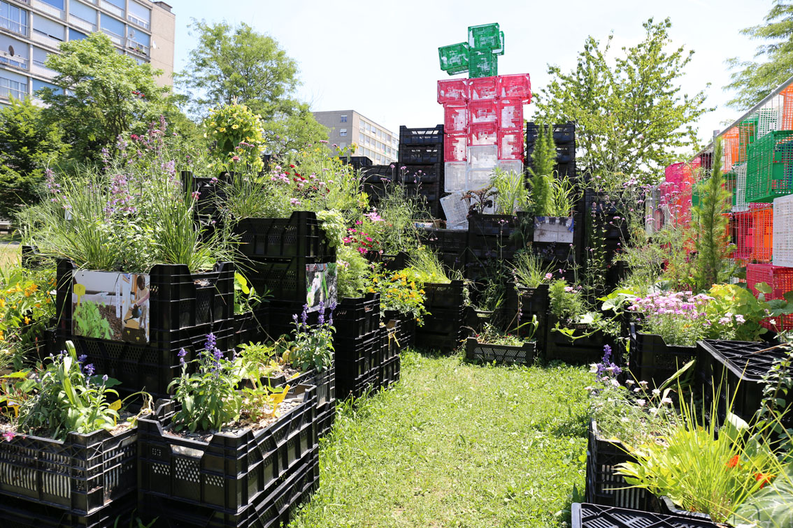 Label Cité. (Foto: Ruedi Weidmann)