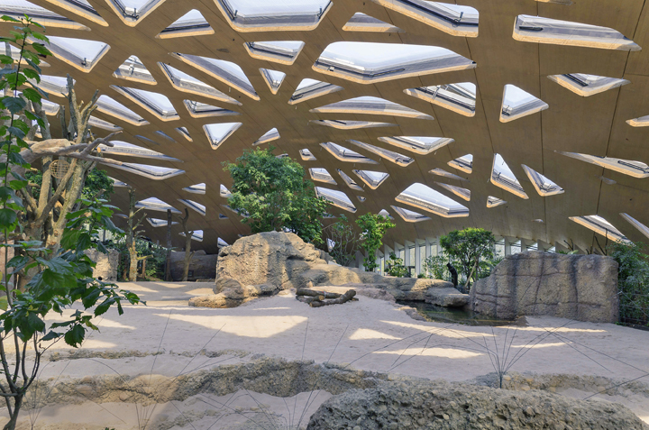 Der neue Elefantenpark kann den Tieren dank seiner Grösse wesentlich mehr bieten als das alte Elefantenhaus: Die weiblichen Elefanten können wie in der Natur grössere Gruppen bilden, die Futtersuche wird anspruchsvoller, und zahlreiche Wasserflächen laden