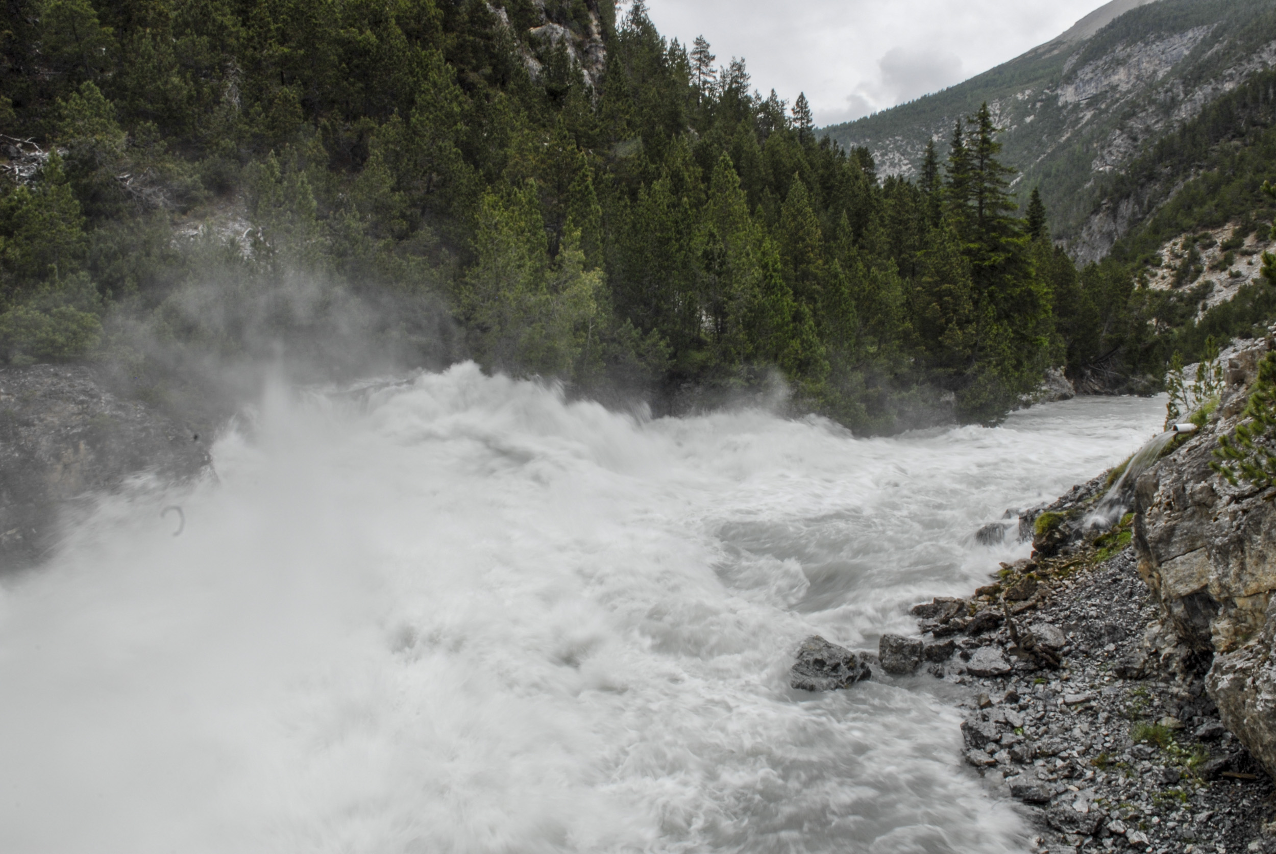 Am 9. Juli 2013 rauschten bis zu 40 m³ Wasser pro Sekunde durch den Spöl, um diesen vom Schlamm zu befreien. (Foto: Schweizerischer Nationalpark / Ruedi Haller).