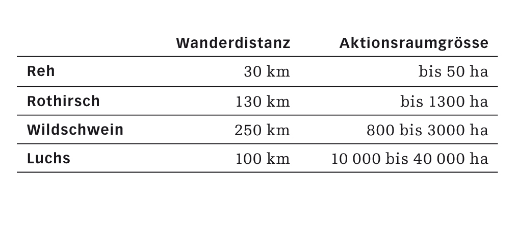 Die vom Einzeltier beanspruchte Fläche hängt von der Lebensraumqualität, dem Nahrungsangebot und der Bestandsdichte ab. Ziel ist es, nicht nur die Aktionsräume der Einzeltiere oder Verbände zu erhalten, sondern überlebensfähige Populationen.
