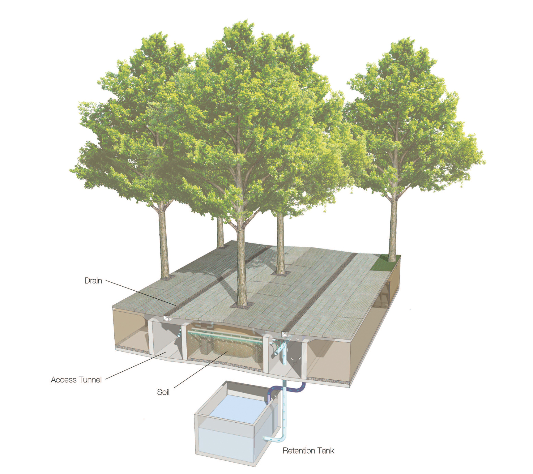 In Vorratstanks wird das Wasser gesammelt und wiederverwertet. (Bild: PWP Landscape Architecture)