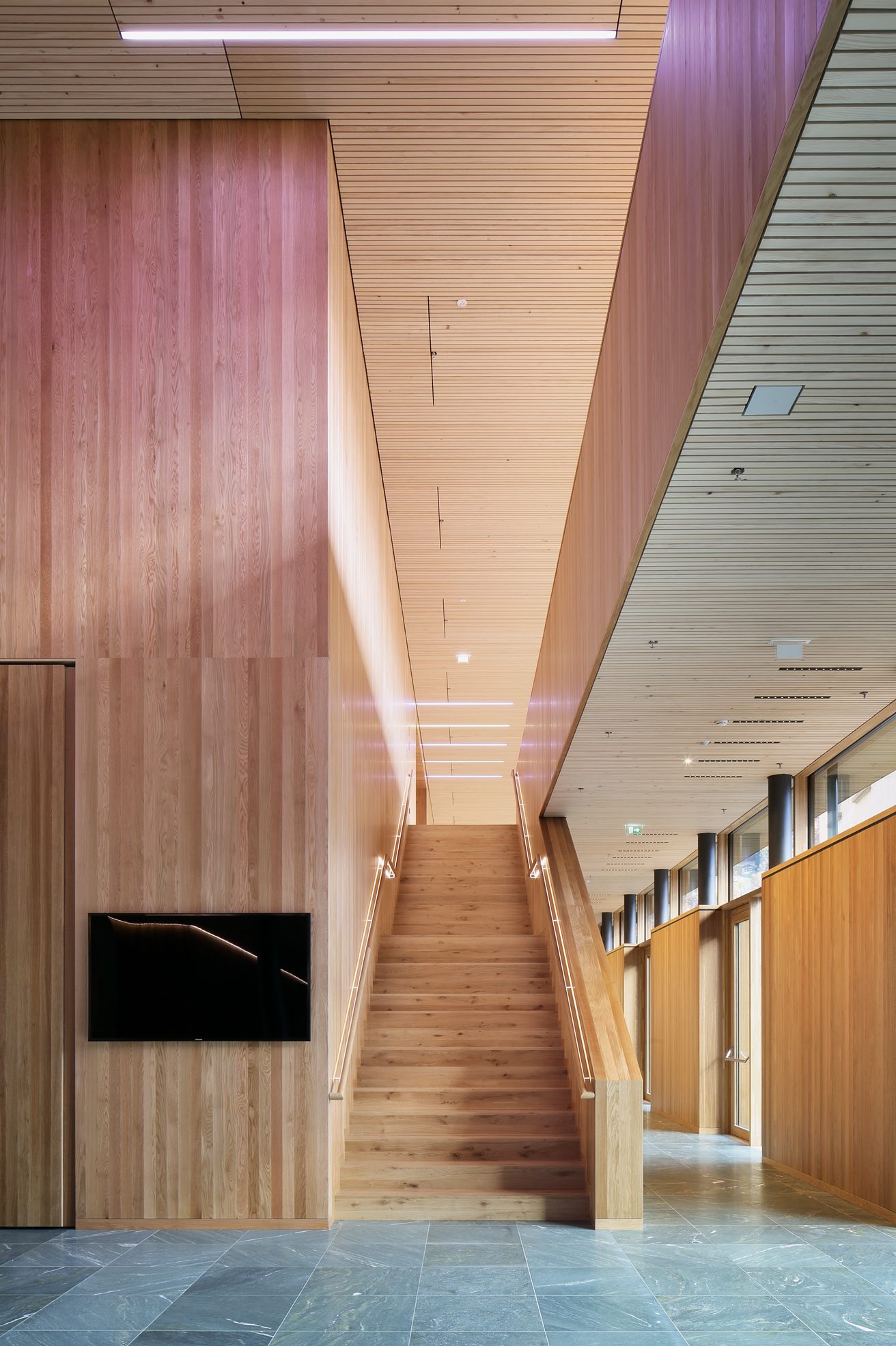 Das in Stahlbeton ausgeführte Erdgeschoss erlaubt Auskragungen und beherbergt die Räume mit den grössten Spannweiten. Auf dem betonierten Sockel steht der Holzbau.