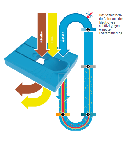 Trenn-WC: In einem geschlossenen Wasserkreislauf (blau) werden Abspülwasser und Wasser vom Händewaschen durch einen Bio­- reaktor (1) vorgereinigt. Eine Ultrafiltrations­membran entfernt die Pathogene (2), das Wasser wird farblich aufbereitet und durch da