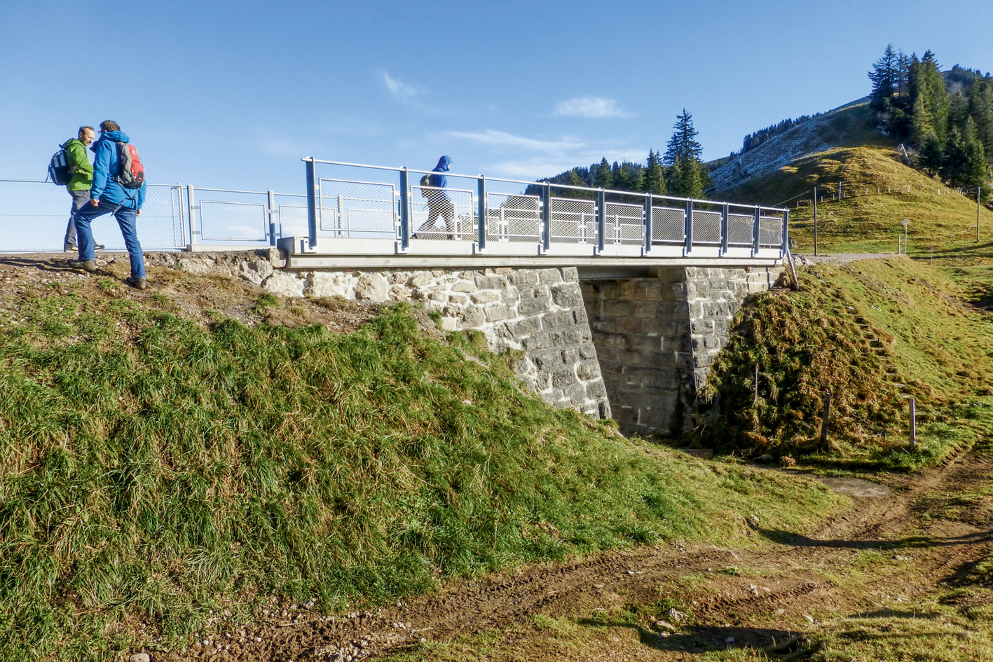 Die Brücke Schild besteht aus tragenden Betonplatten, die auf historischen genieteten Eisenträgern aufliegen. (Foto: Eugen Brühwiler)