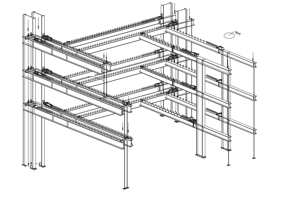 3-D-Isometrie des Stahlbaus. (Stahlbauplan: Schneider Stahlbau, Jona)