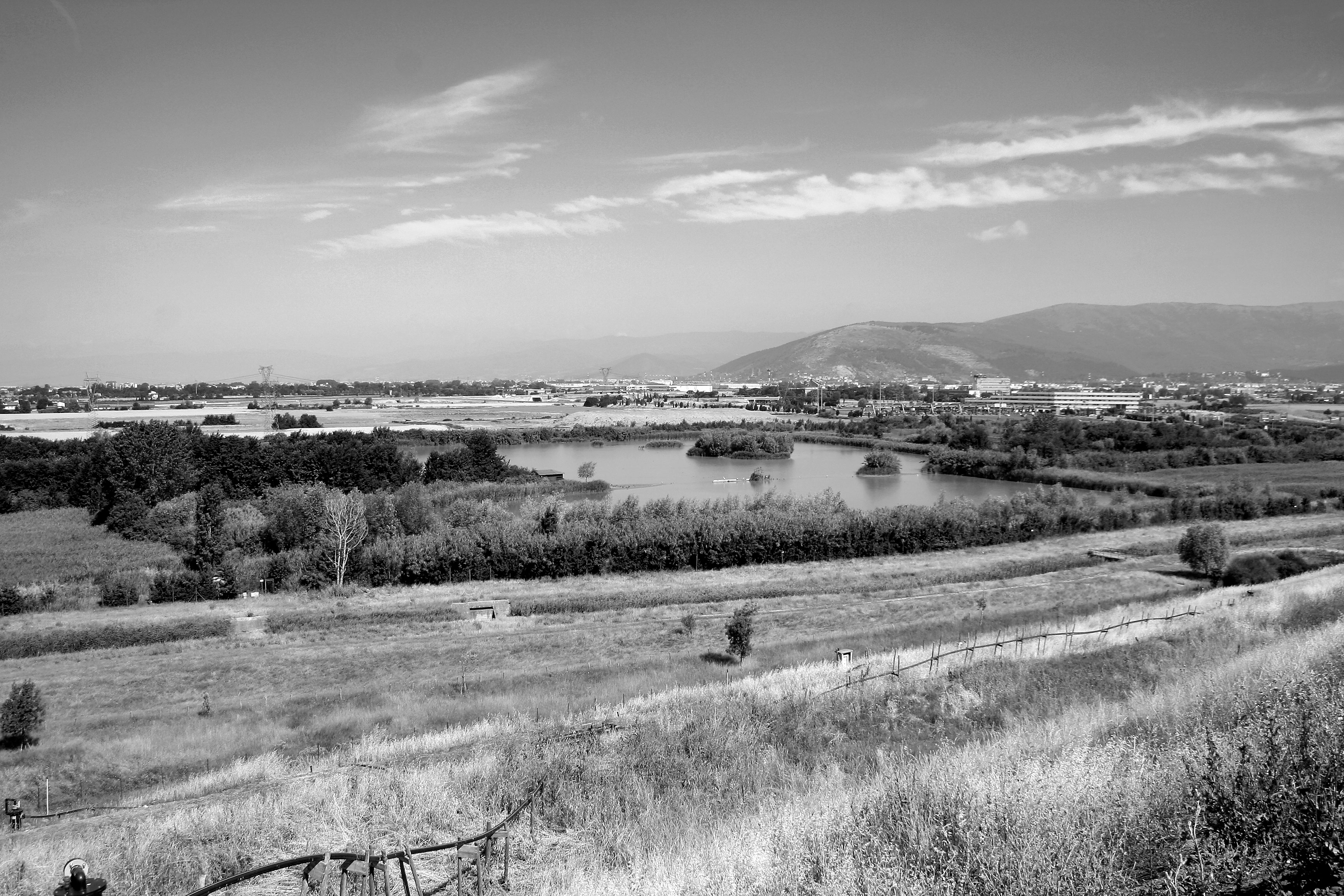 Carlo Scoccianti, Stagni di Focognano, Firenze 1998-2005