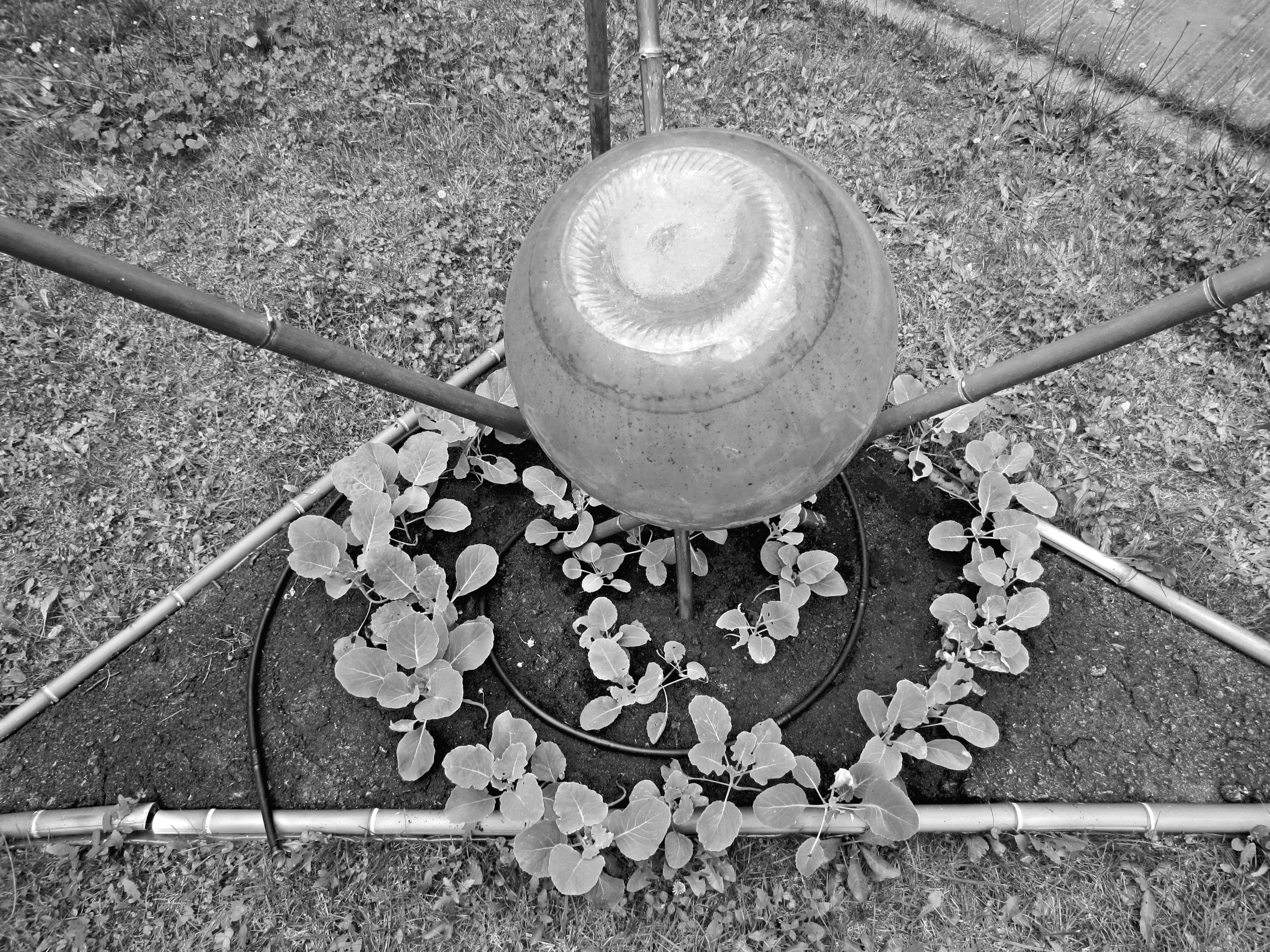 Mar ta Donati &amp; Richard Ingersoll, Giardino nomade, Montevarchi 2012