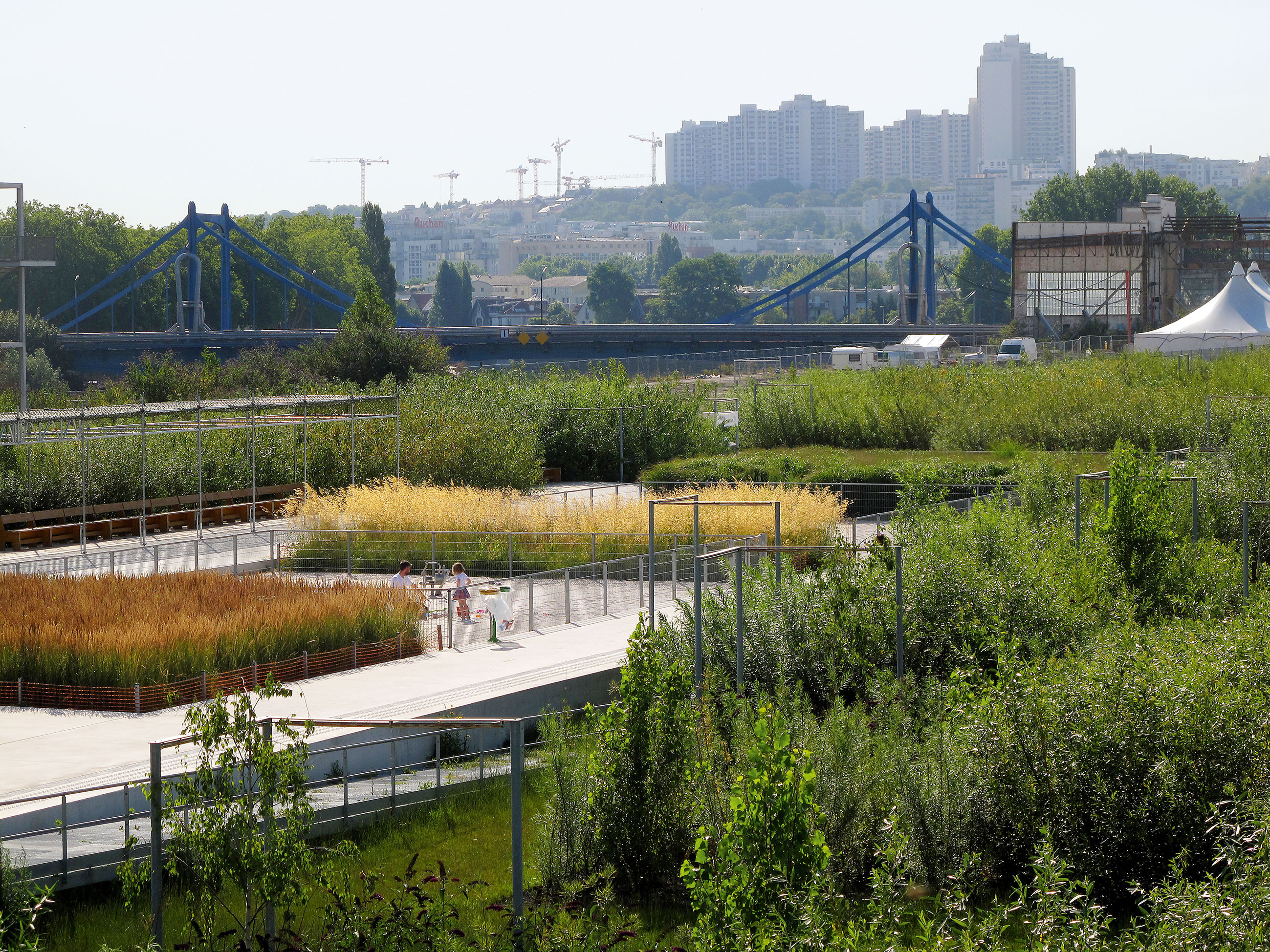 Veduta delle piantagioni con il ponte e la città sullo sfondo