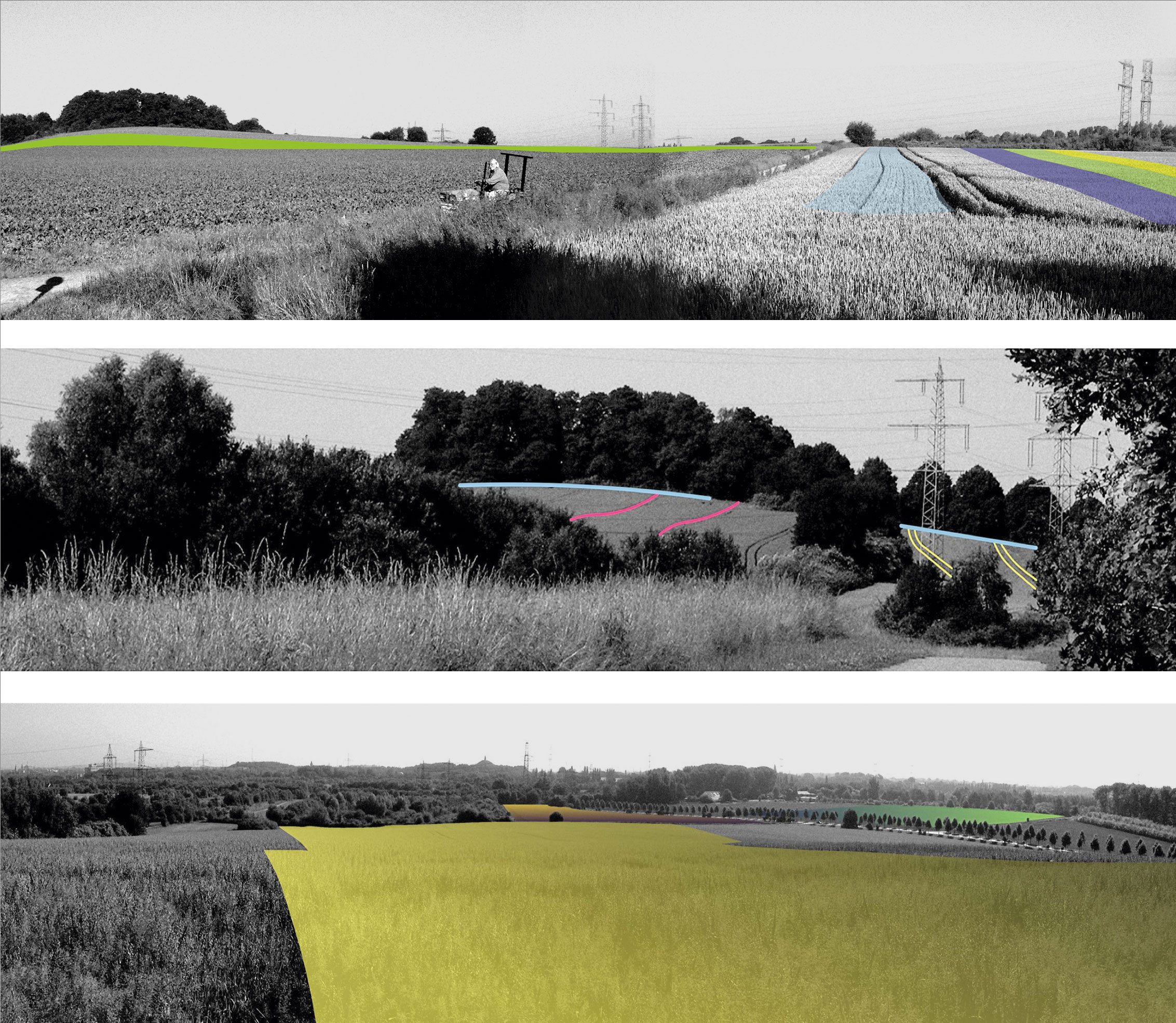 Viste prospettiche dei dettagli degli interventi nelle diverse fasi temporali del programma (Immagini: Paolo L. Bürgi)