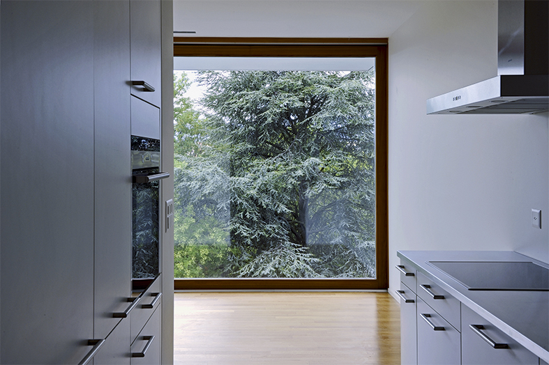 (Foto: Fausto Pluchinotta)