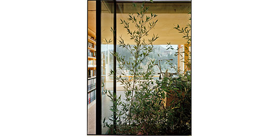 Uno scorcio dell'interno