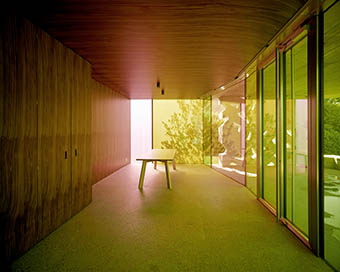 Vetrate dai toni che vanno dal verde al marrone. (Foto: Valentin Jeck)