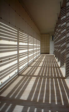 I bastonetti filtrano e mediano la luce. (Foto: Patrizia Buzzi)