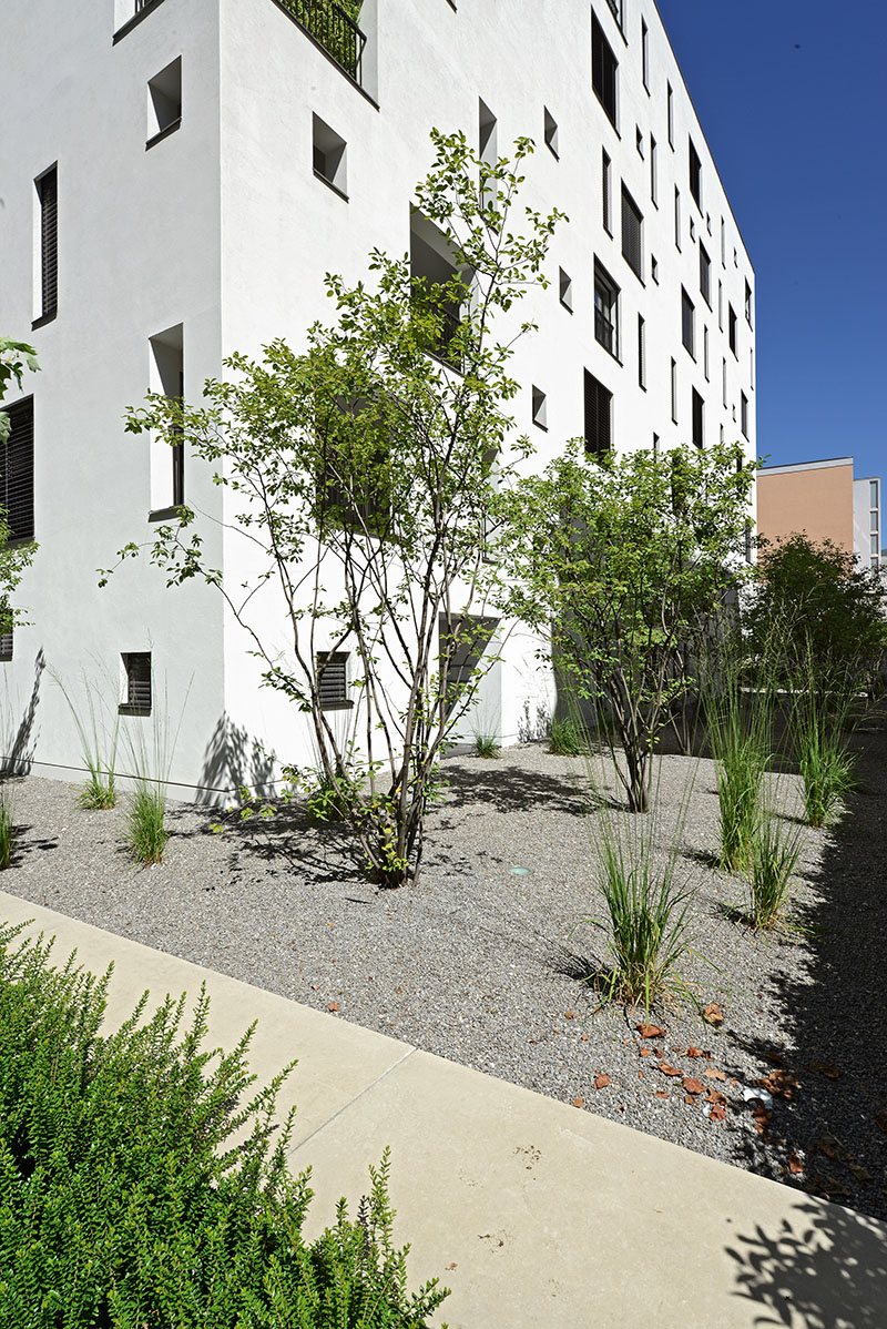 Entrata e parte del giardino dell'edificio. (Foto: Swissurf)