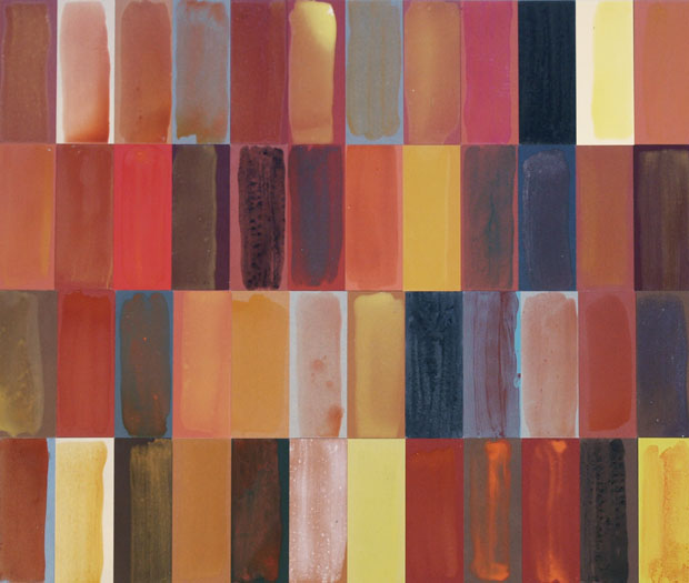 Modelli cromatici. (Foto: Michel Gribi)